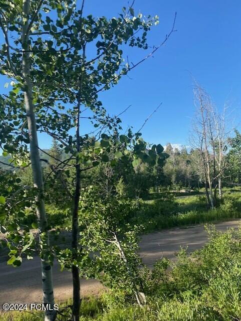969 W Deep Forest Road, Coalville, Utah image 1