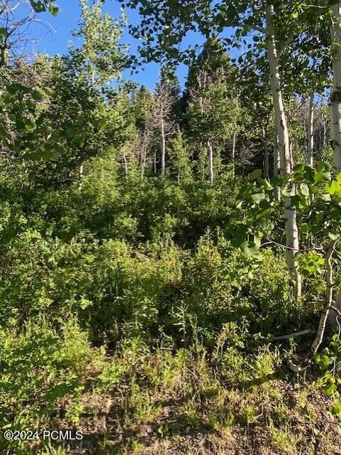 969 W Deep Forest Road, Coalville, Utah image 9