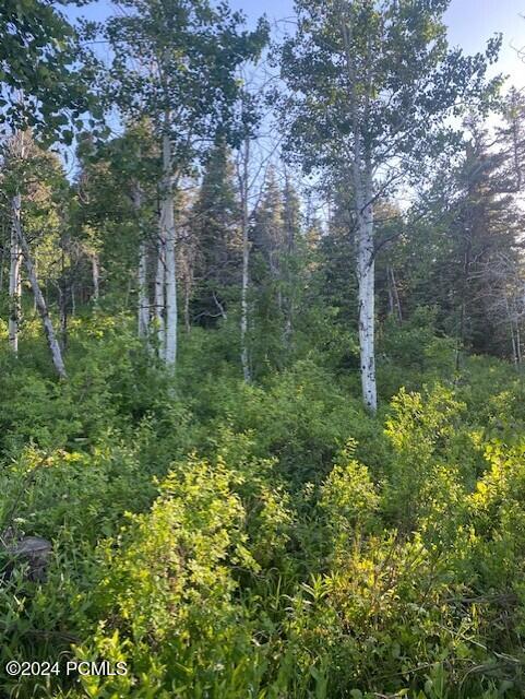 969 W Deep Forest Road, Coalville, Utah image 3