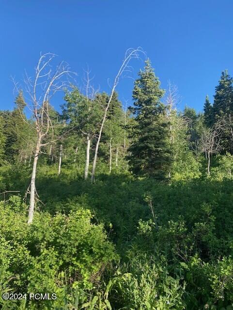 969 W Deep Forest Road, Coalville, Utah image 6