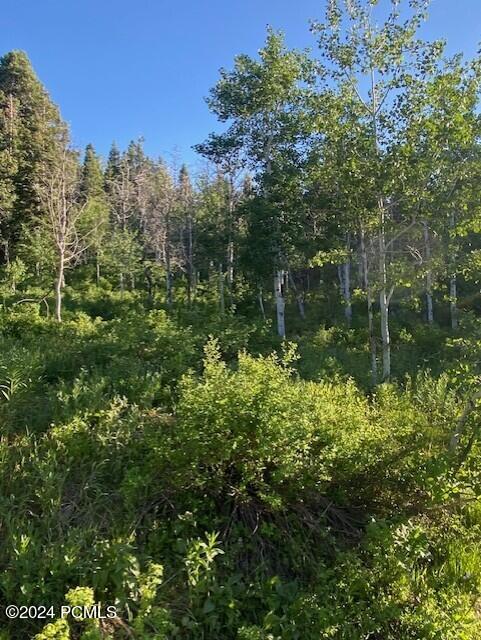 969 W Deep Forest Road, Coalville, Utah image 8