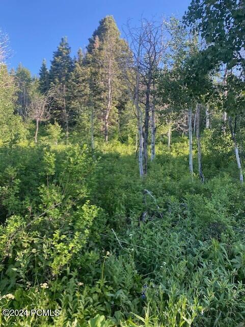 969 W Deep Forest Road, Coalville, Utah image 5