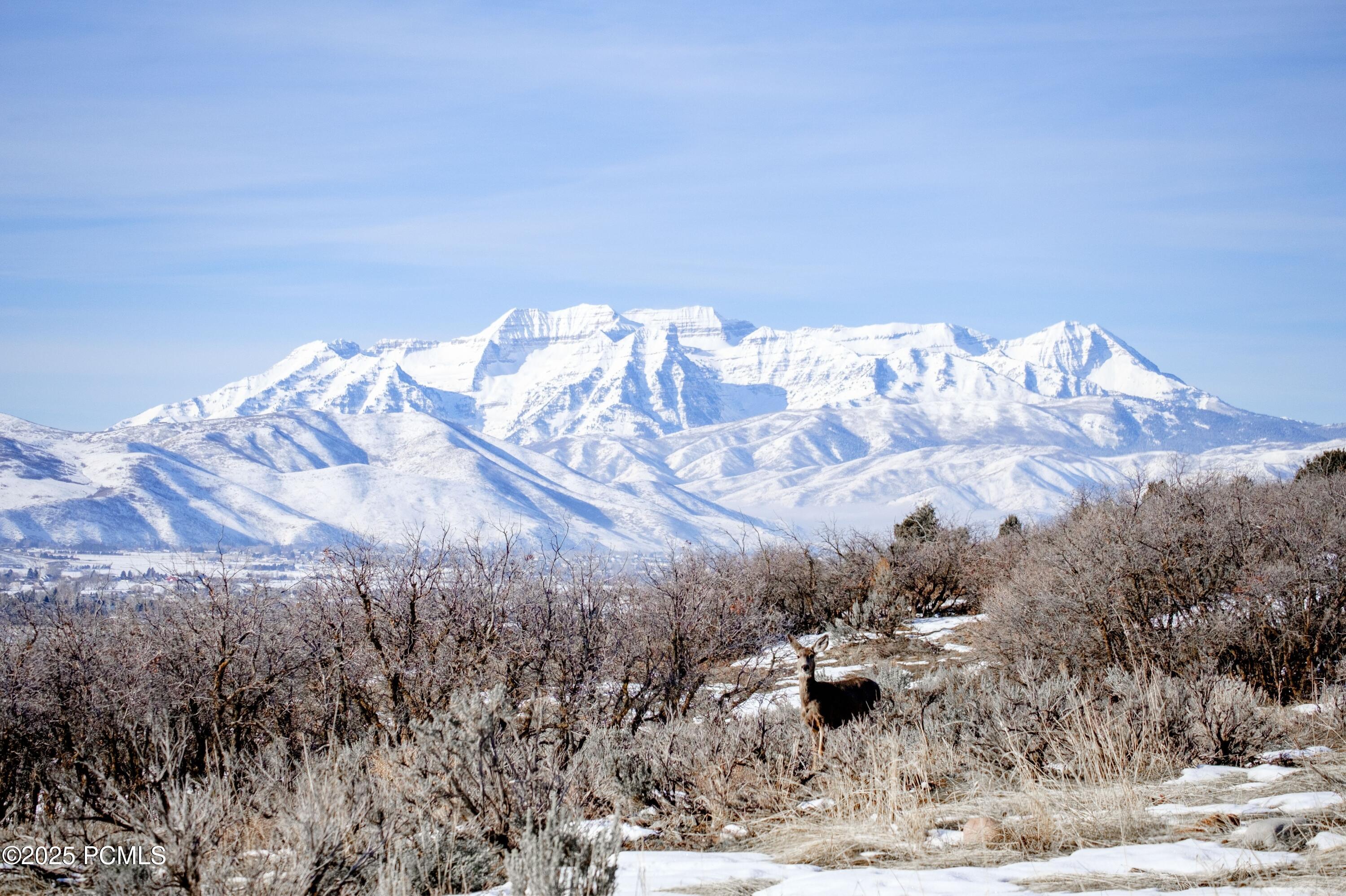 Heber City, Utah 84032, United States, ,Land,Active,64761