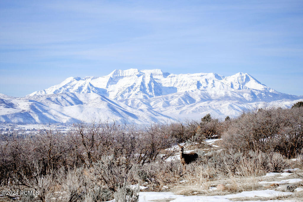 594 N Westward Ho Road, Heber City, Utah image 46