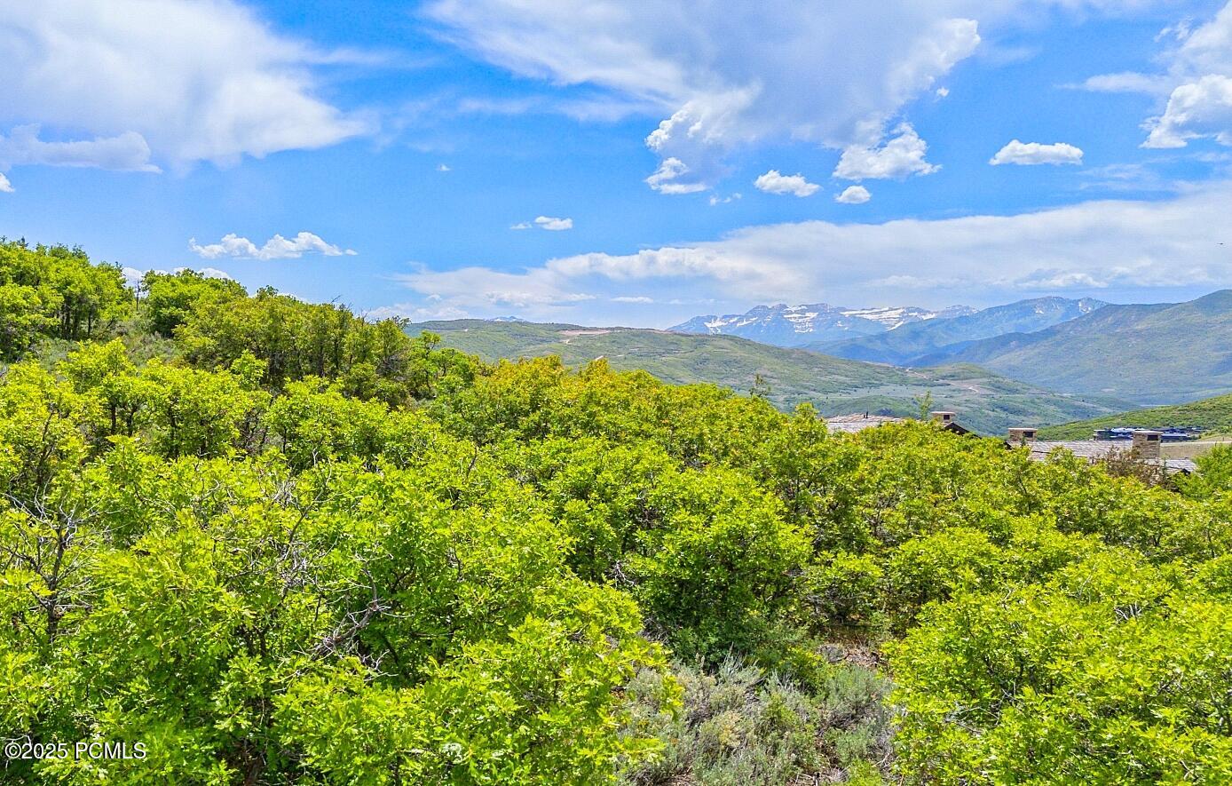 2710 E Shadow Ridge Circle, Kamas, Utah image 6