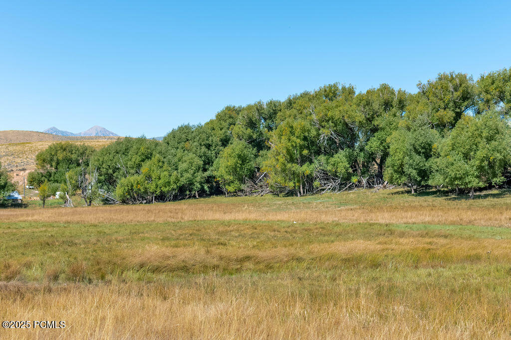 1570 W Main Canyon Road, Wallsburg, Utah image 8