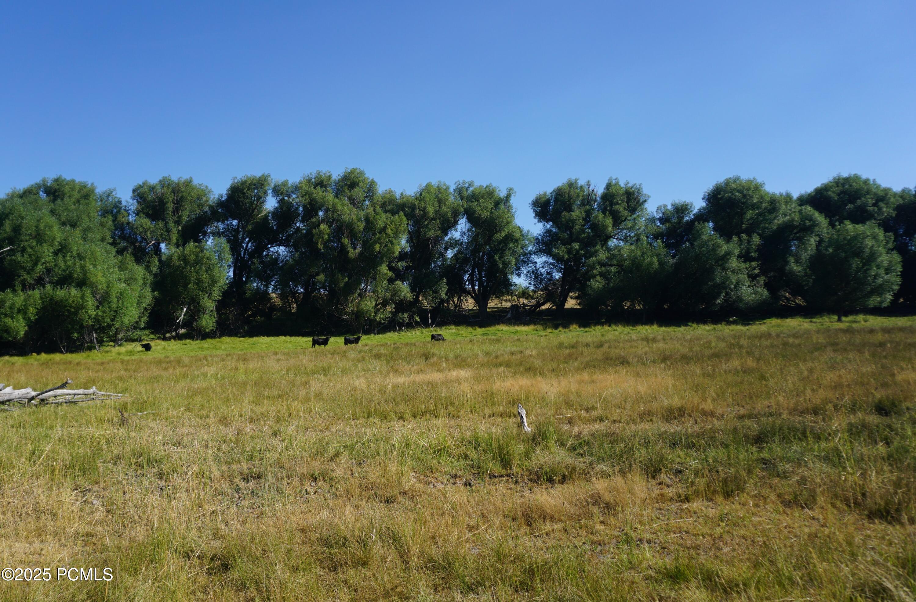 1570 W Main Canyon Road, Wallsburg, Utah image 16