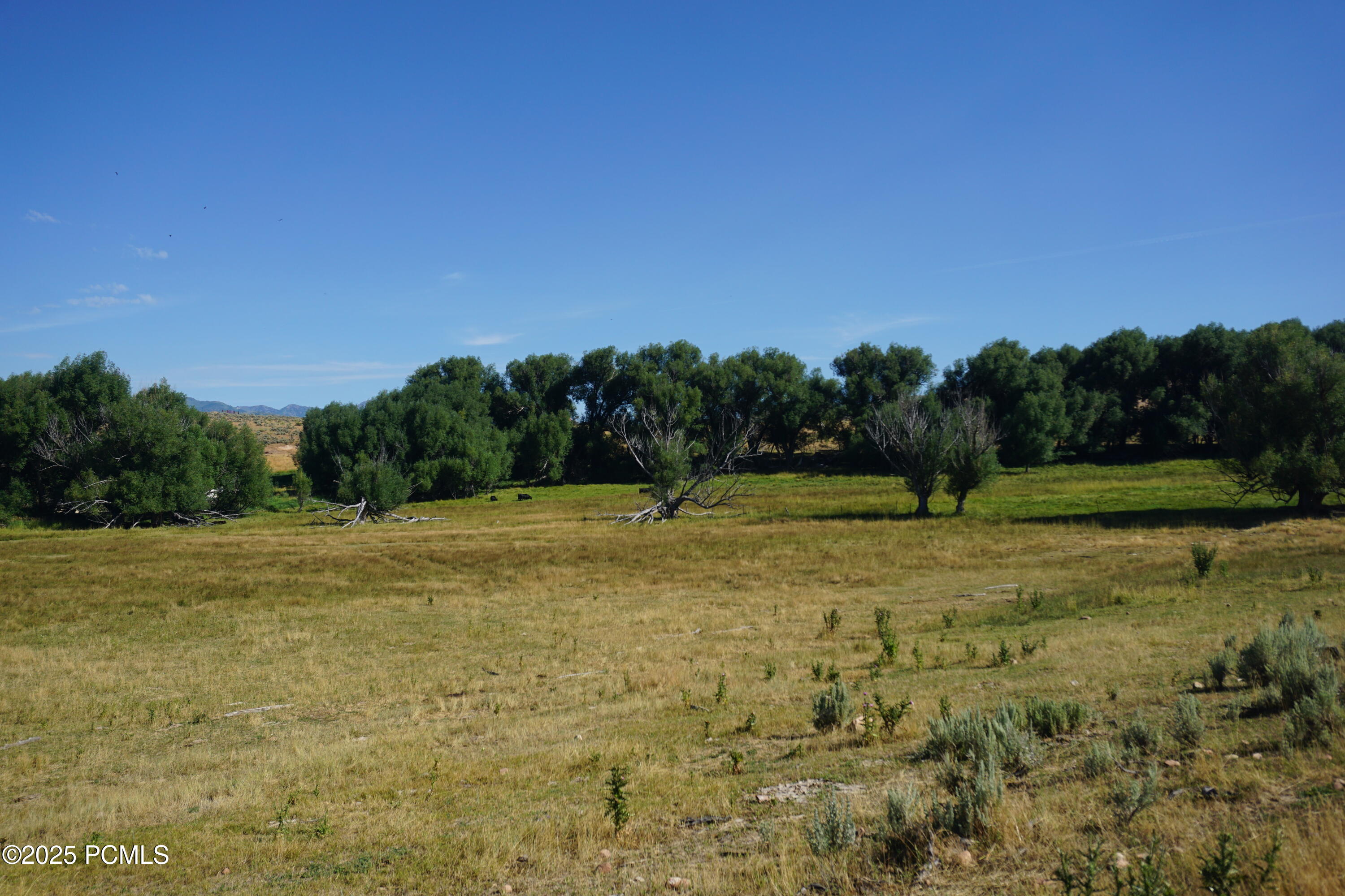 1570 W Main Canyon Road, Wallsburg, Utah image 19