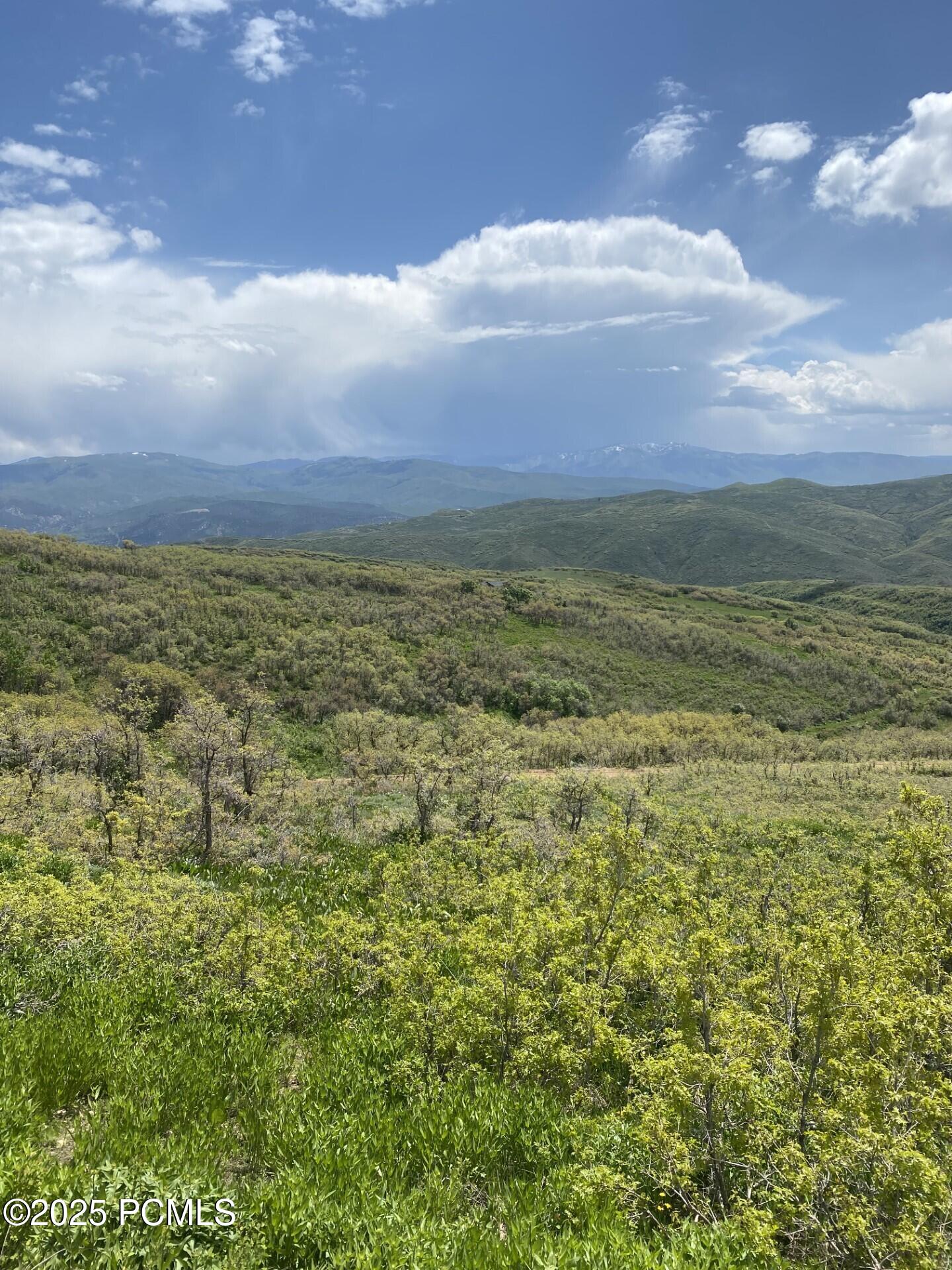 8 E Forest Meadow Road, Coalville, Utah image 5