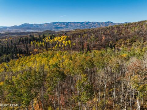 Vacant Land For Sale - 145 W Forest Meadow Road<br/> Coalville, UT 84017