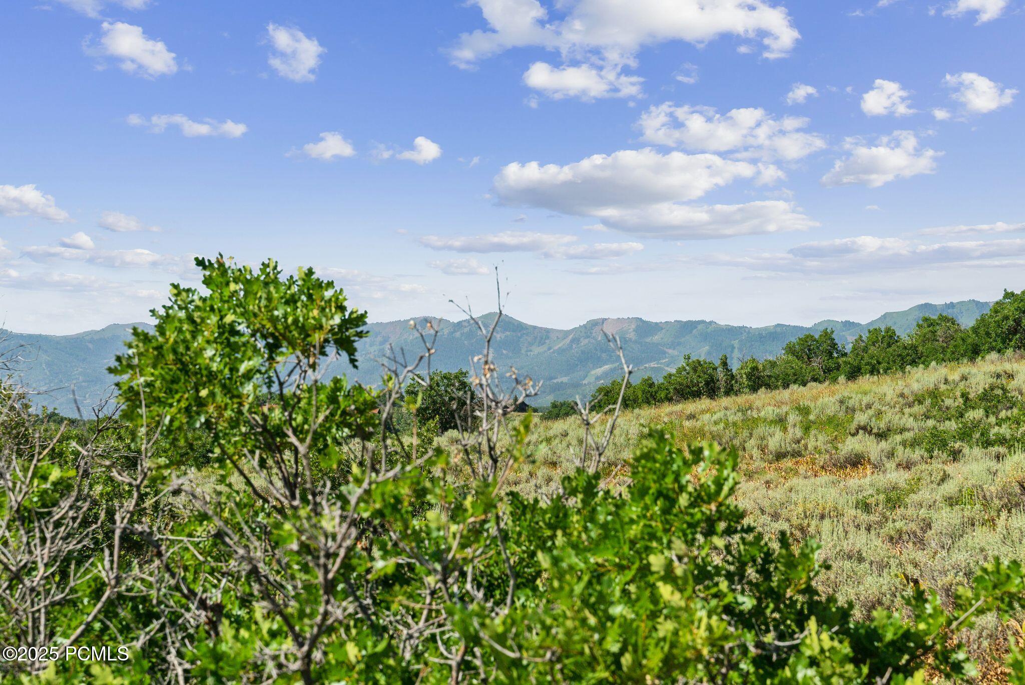 Park City, Utah 84098, United States, ,Land,Active,174252