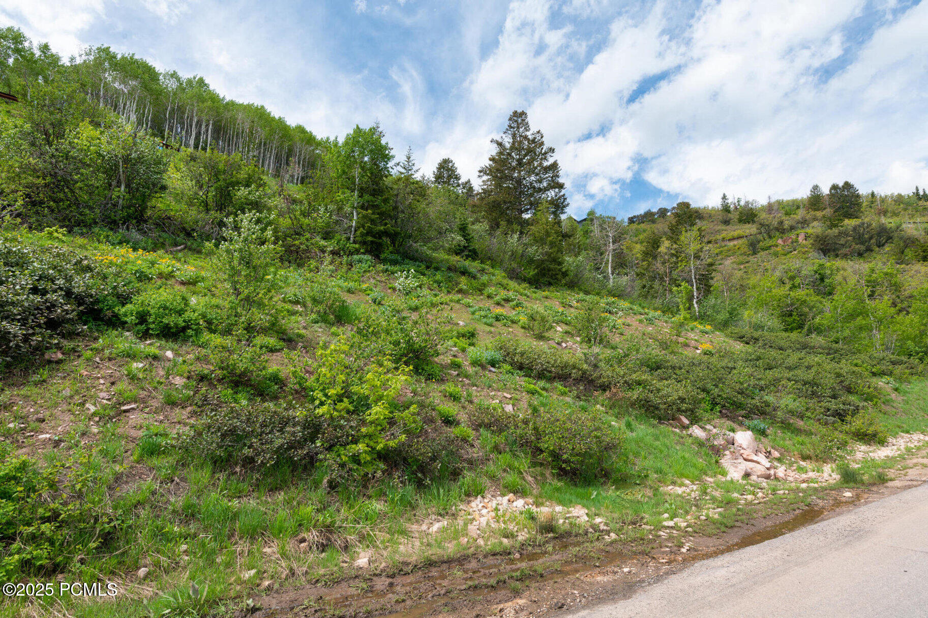 7558 Buckboard Drive, Park City, Utah image 17