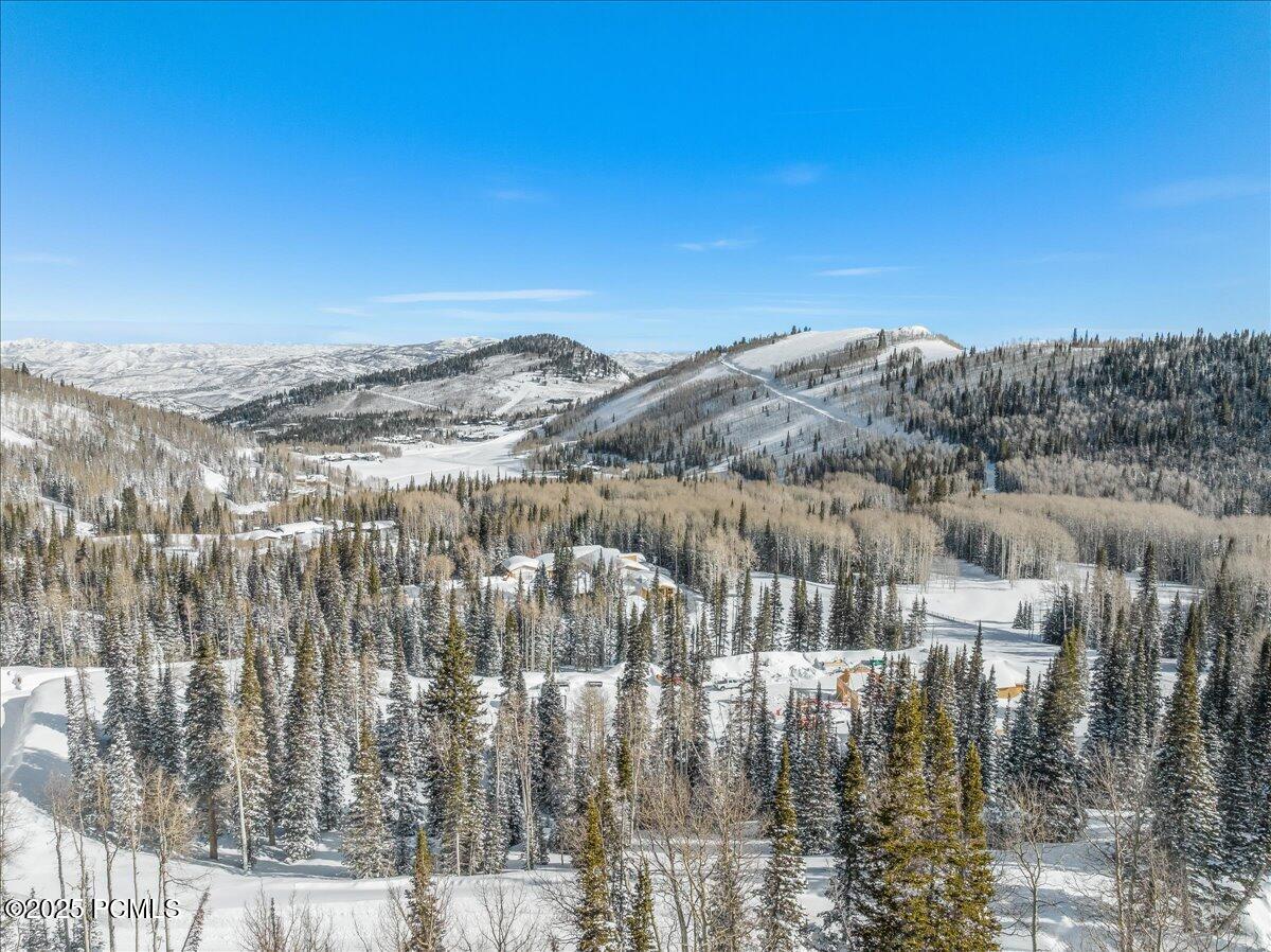322 White Pine Canyon Road, Park City, Utah image 9