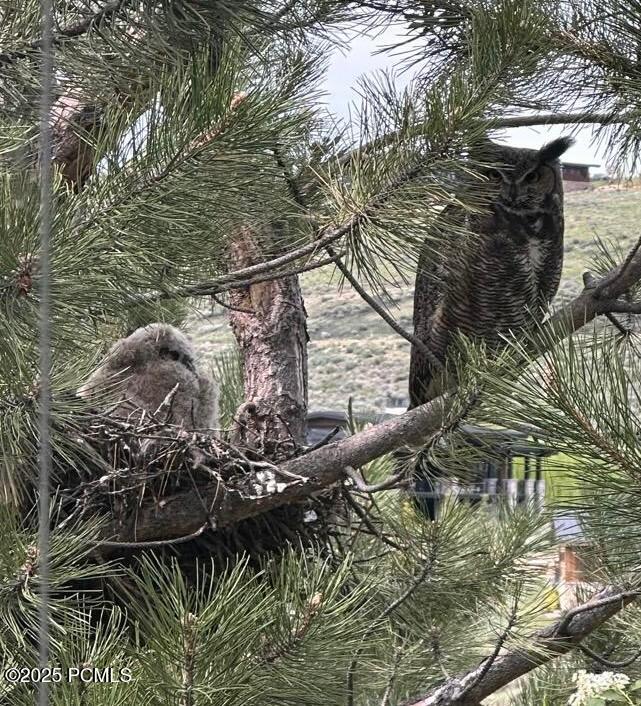 Kamas, Utah 84036, United States, 5 Bedrooms Bedrooms, ,7 BathroomsBathrooms,Residential,Active,185751