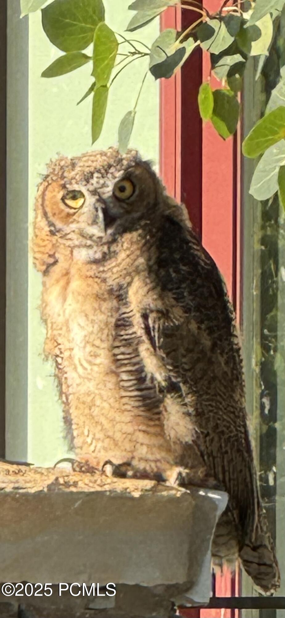 Kamas, Utah 84036, United States, 5 Bedrooms Bedrooms, ,7 BathroomsBathrooms,Residential,Active,185751