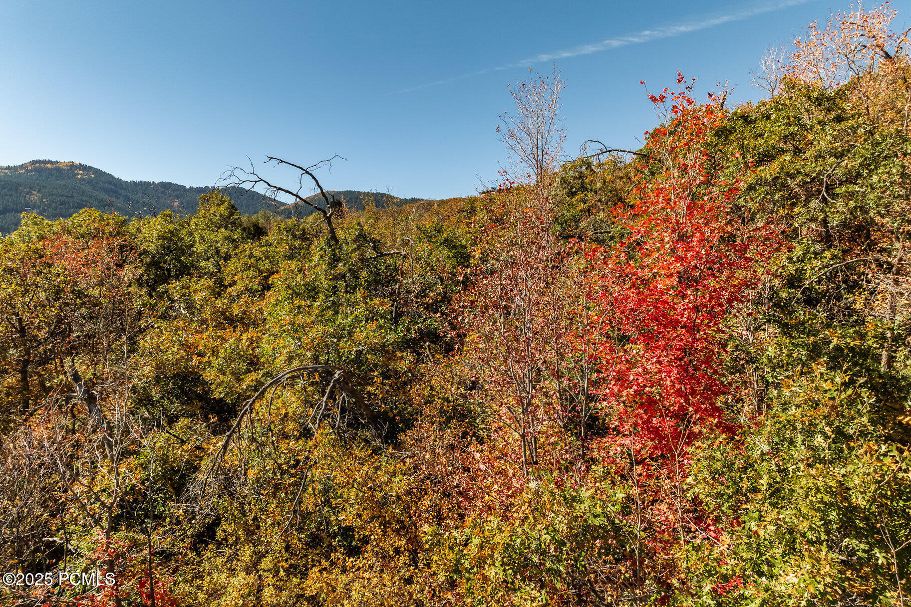 8791 Northcove Drive, Park City, Utah image 29