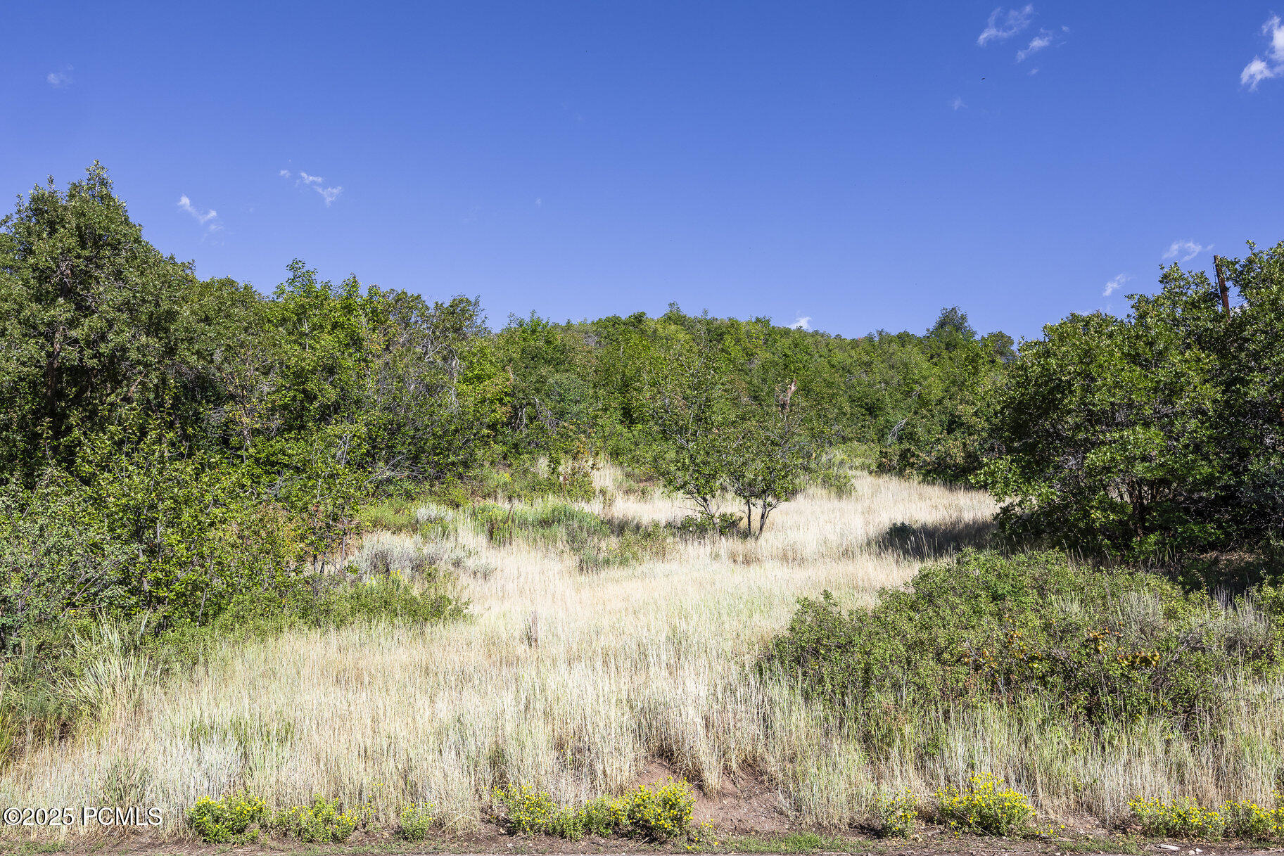 8791 Northcove Drive, Park City, Utah image 35
