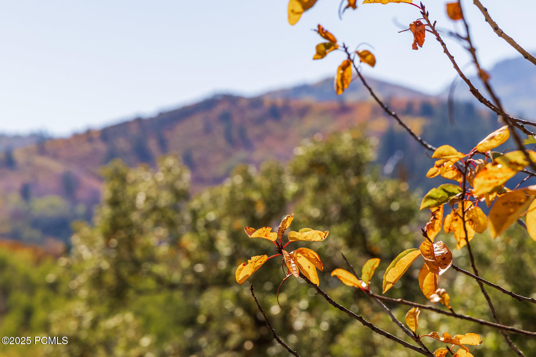 8791 Northcove Drive, Park City, Utah image 24