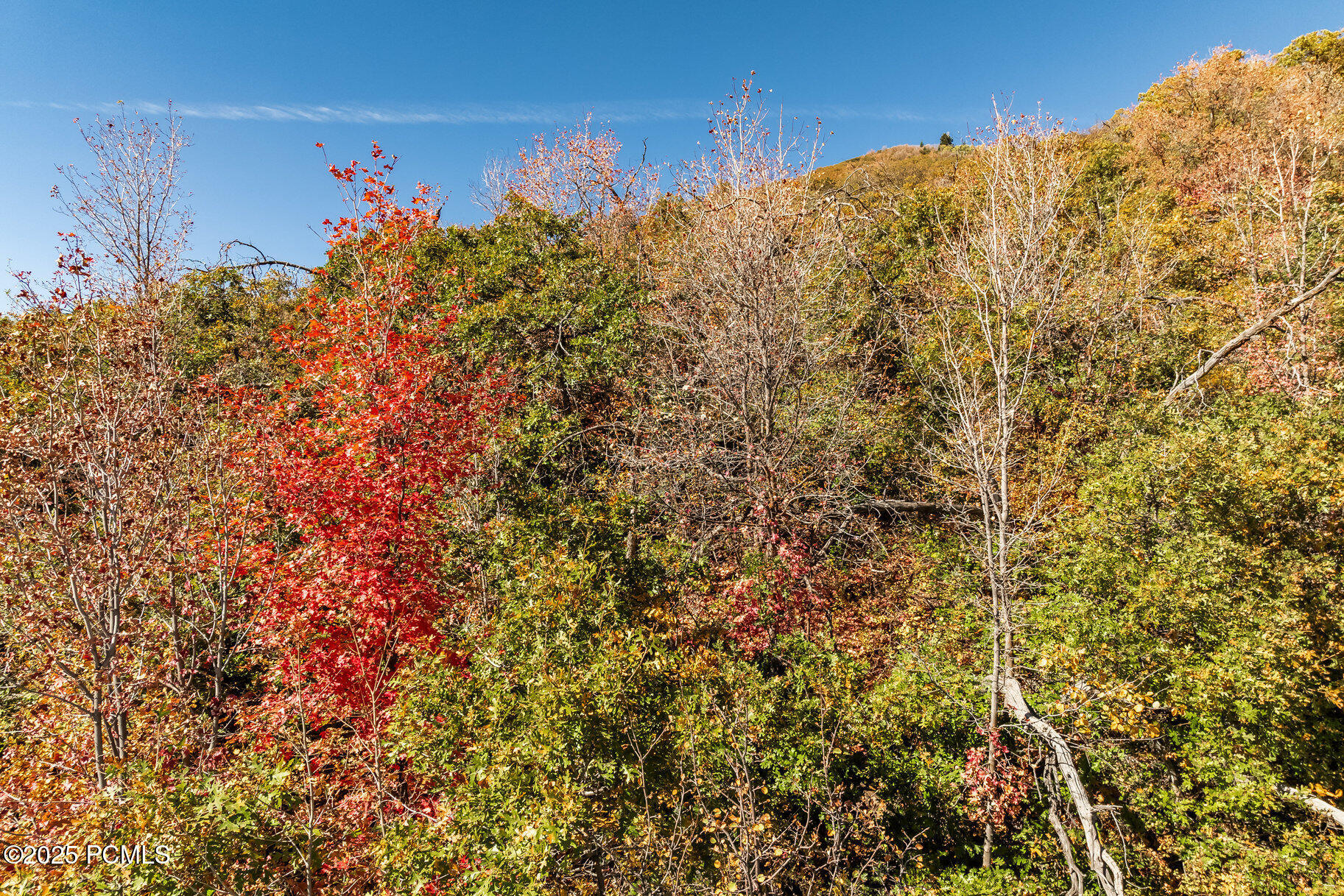 8791 Northcove Drive, Park City, Utah image 30
