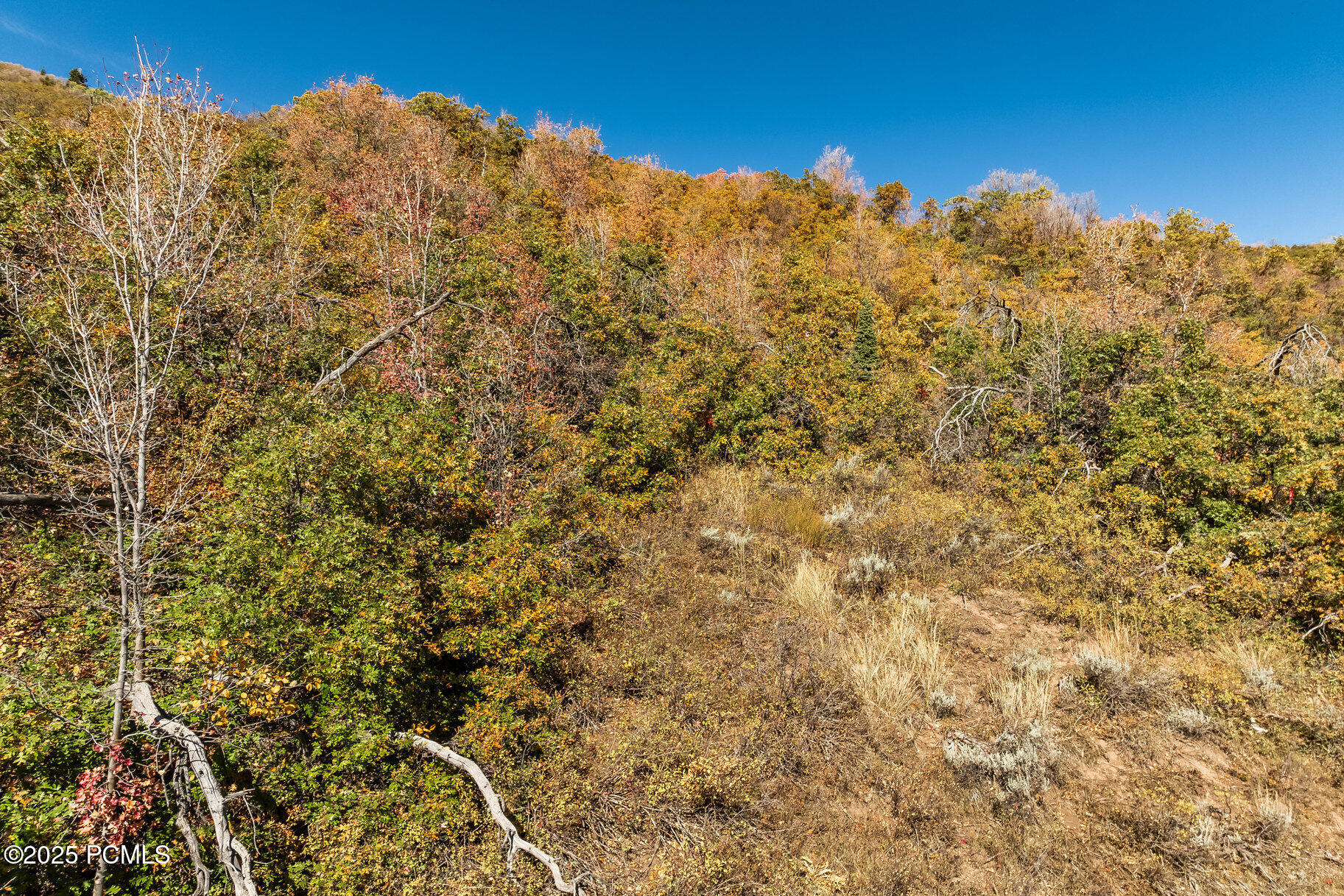 8791 Northcove Drive, Park City, Utah image 31