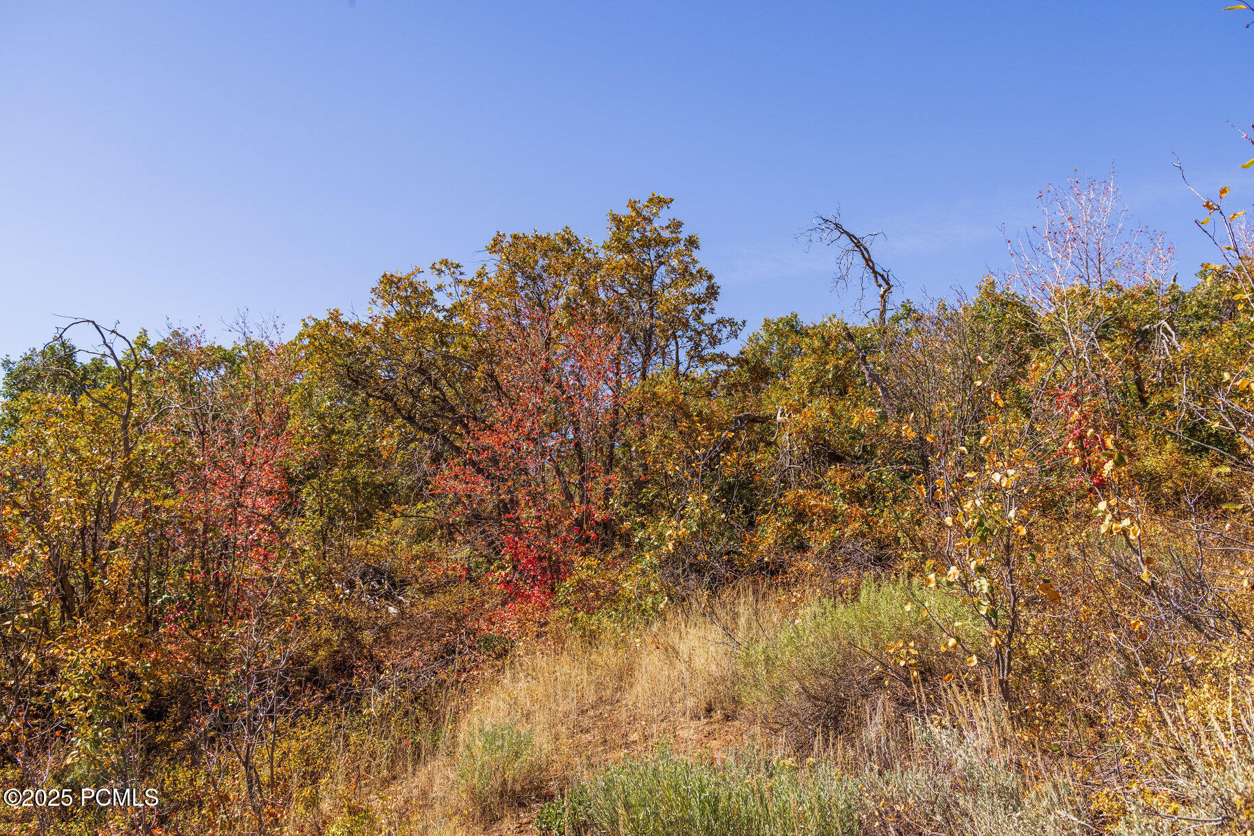 8791 Northcove Drive, Park City, Utah image 22