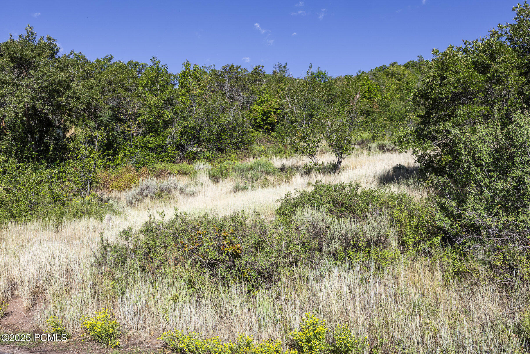 8791 Northcove Drive, Park City, Utah image 44