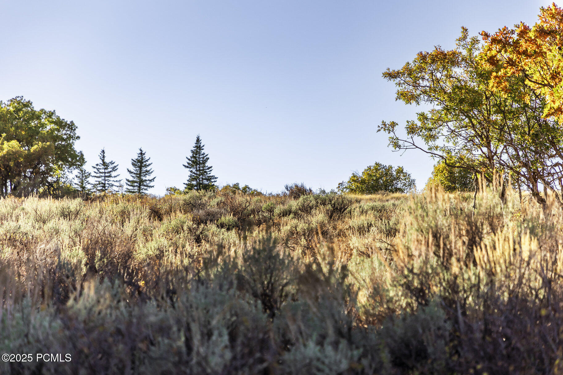 1655 W Red Hawk Trail, Park City, Utah image 41