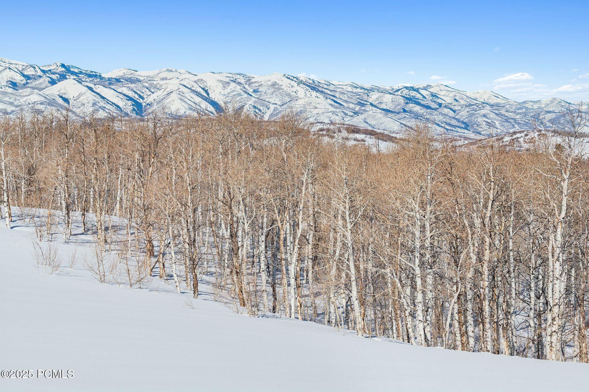 9482 E Forest Creek Road, Heber City, Utah image 27