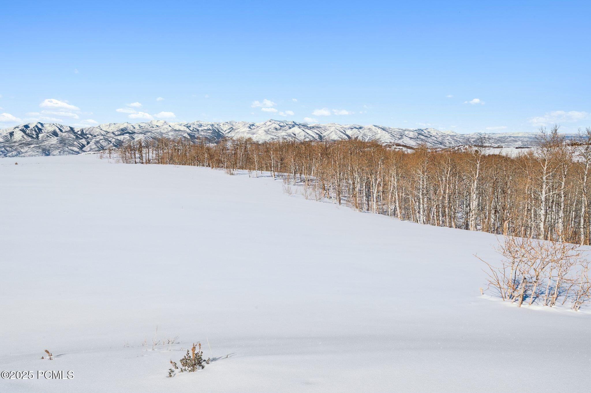 9482 E Forest Creek Road, Heber City, Utah image 25