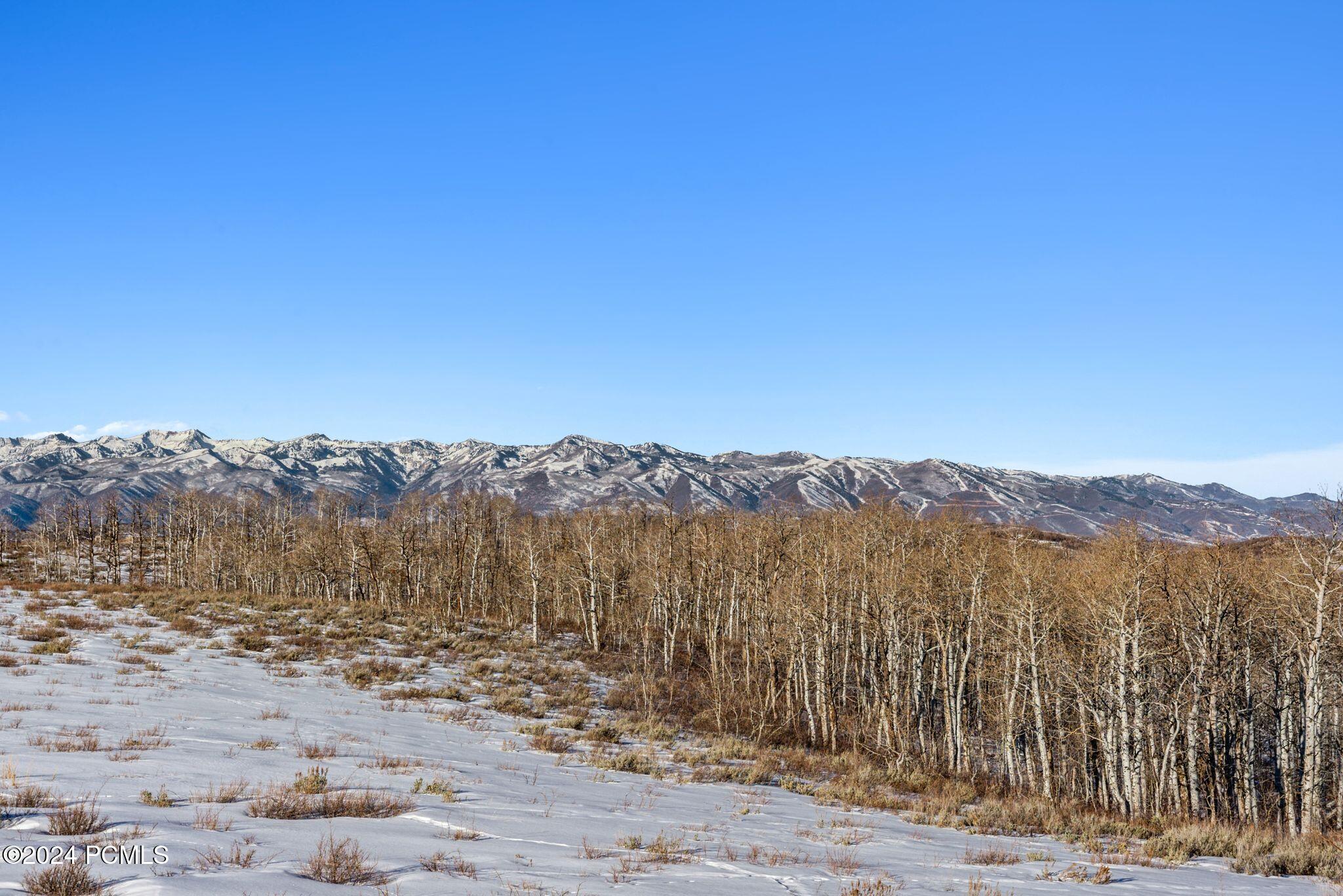 9482 E Forest Creek Road, Heber City, Utah image 39