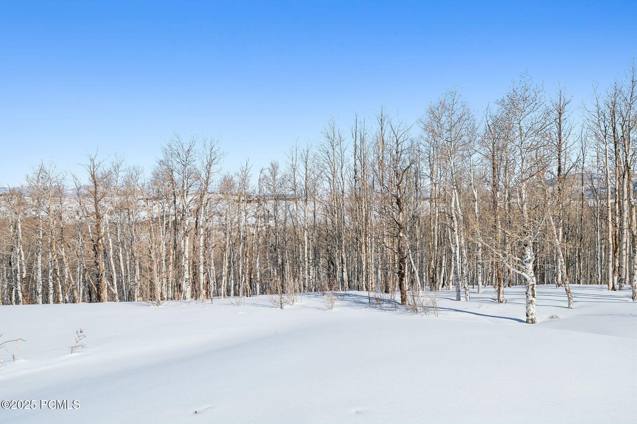 9482 E Forest Creek Road, Heber City, Utah image 24