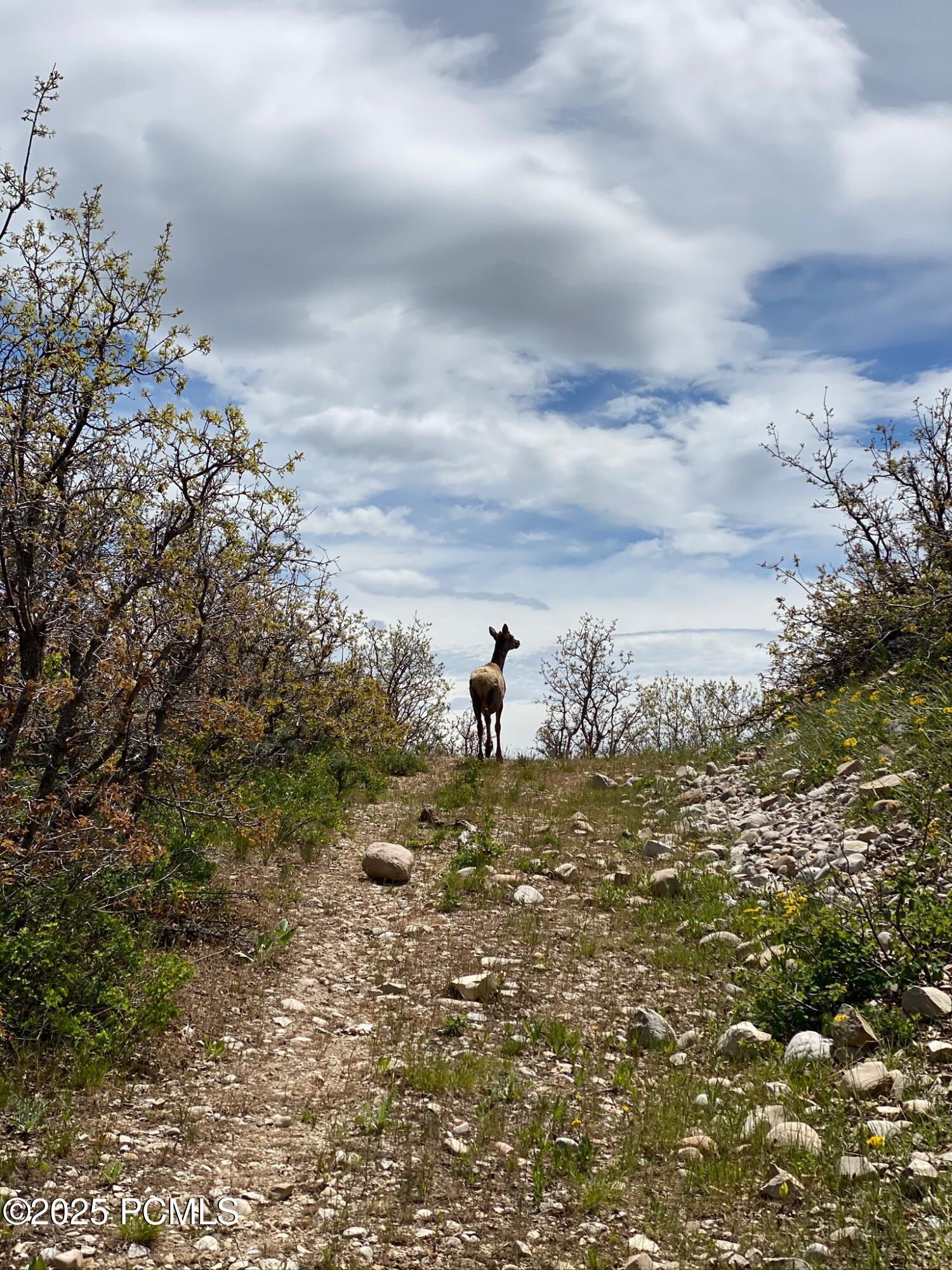 Park City, Utah 84098, United States, ,Land,Active,178911