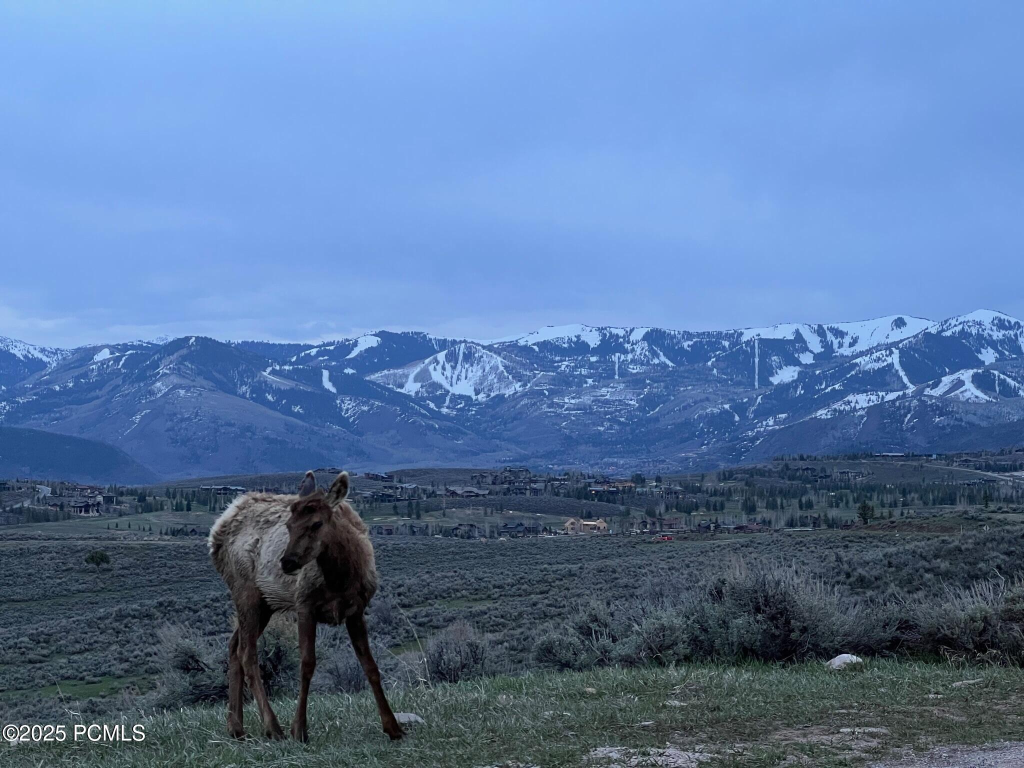 Park City, Utah 84098, United States, ,Land,Active,178911