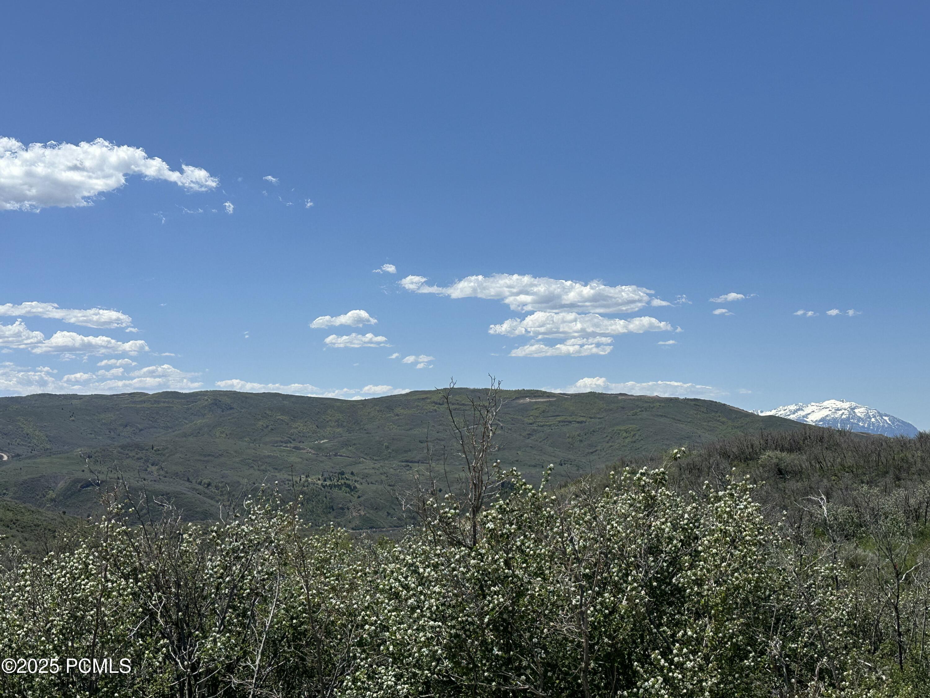 Kamas, Utah 84036, United States, ,Land,Active,126024