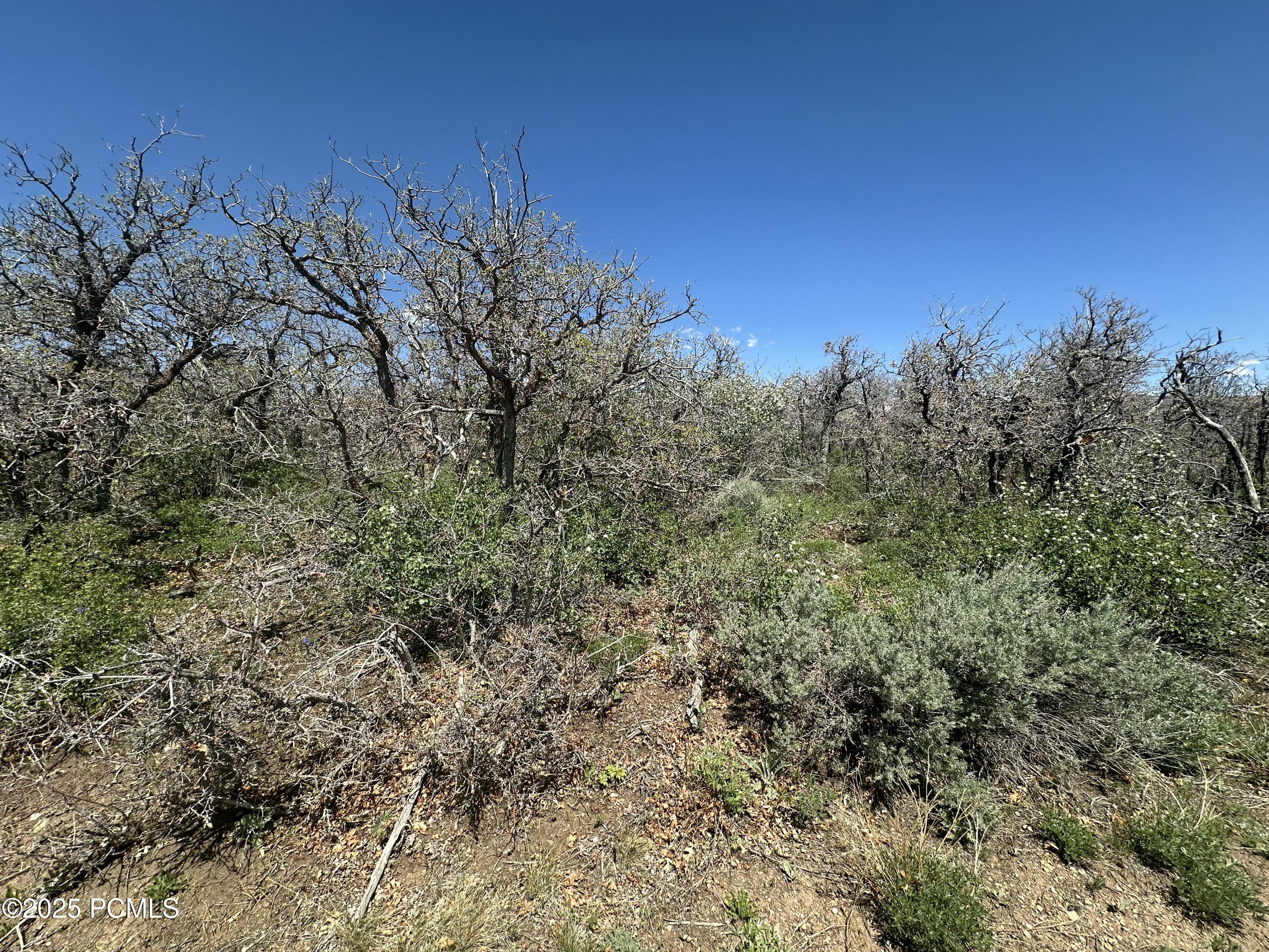 Kamas, Utah 84036, United States, ,Land,Active,126024