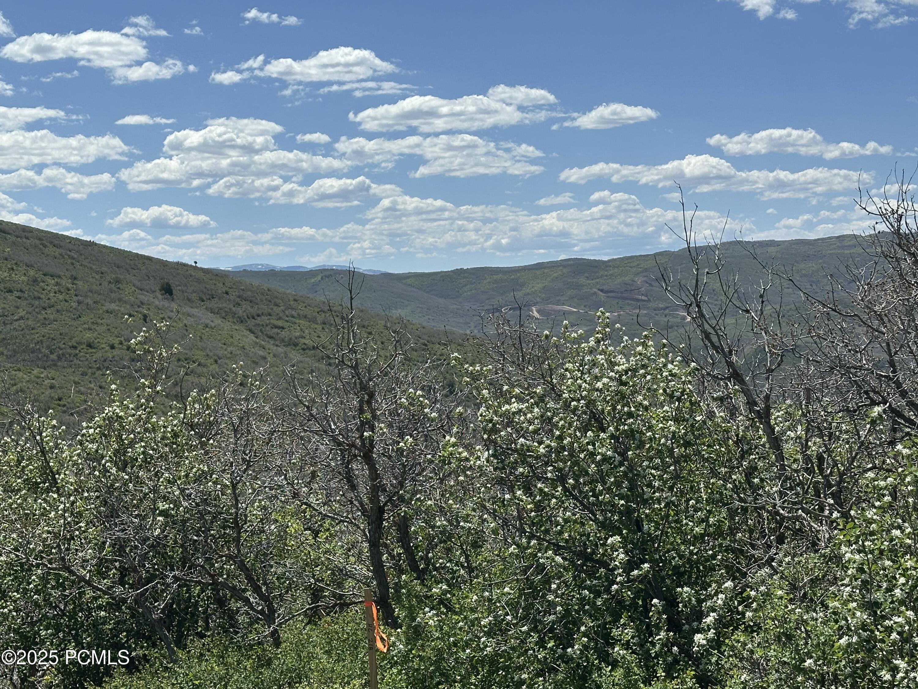 Kamas, Utah 84036, United States, ,Land,Active,126024