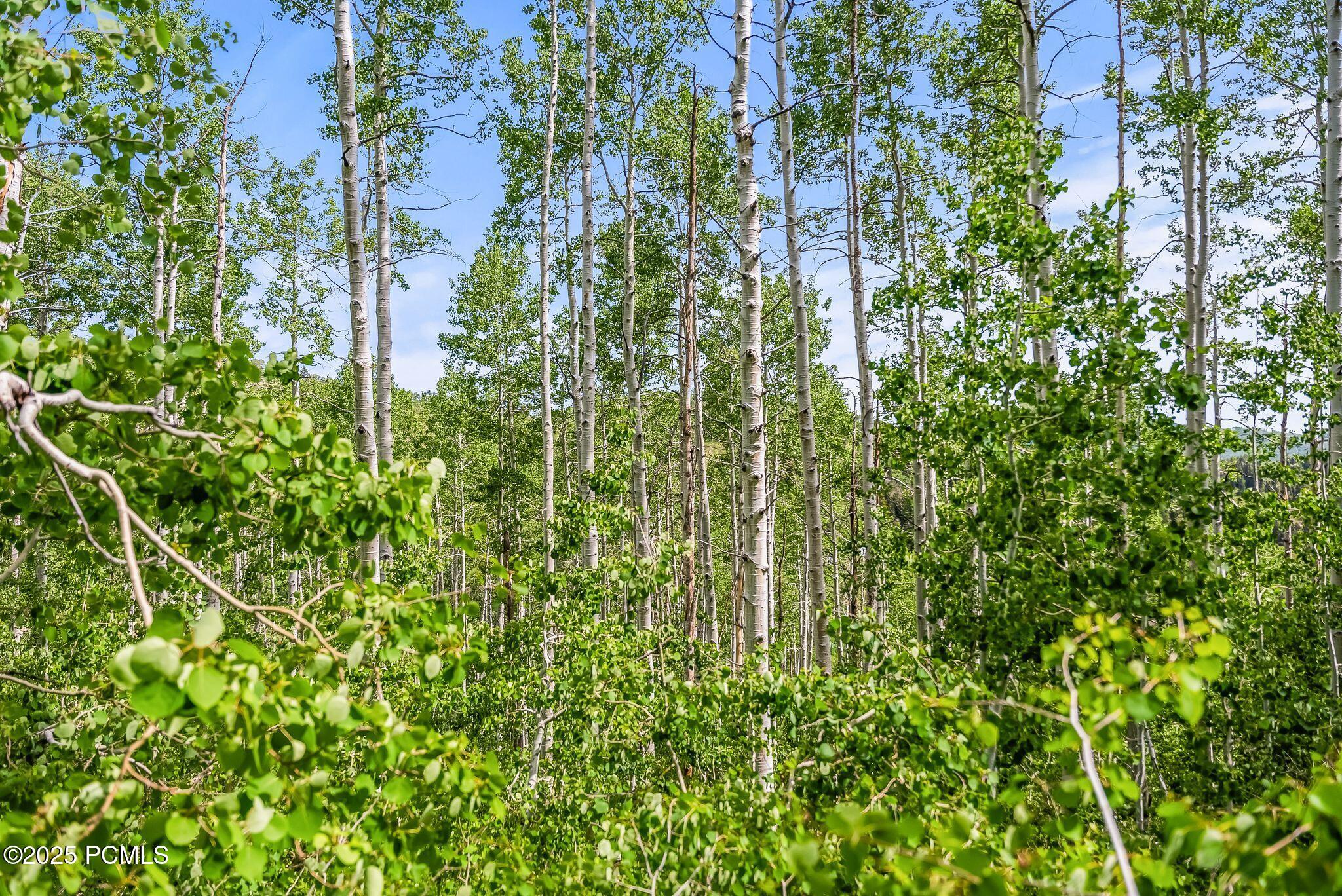 2195 Aspen Ridge Drive, Coalville, Utah image 11