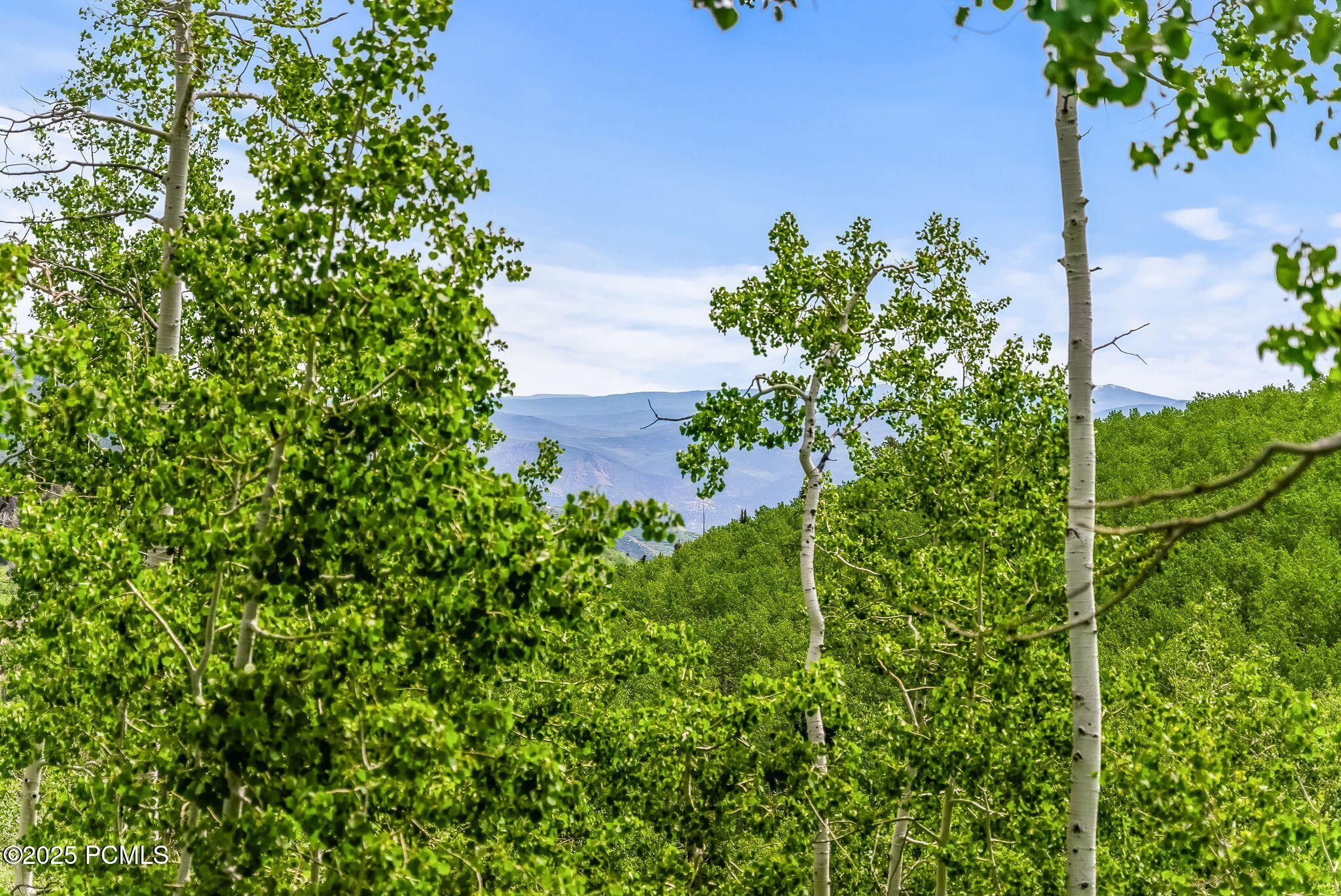 2195 Aspen Ridge Drive, Coalville, Utah image 3
