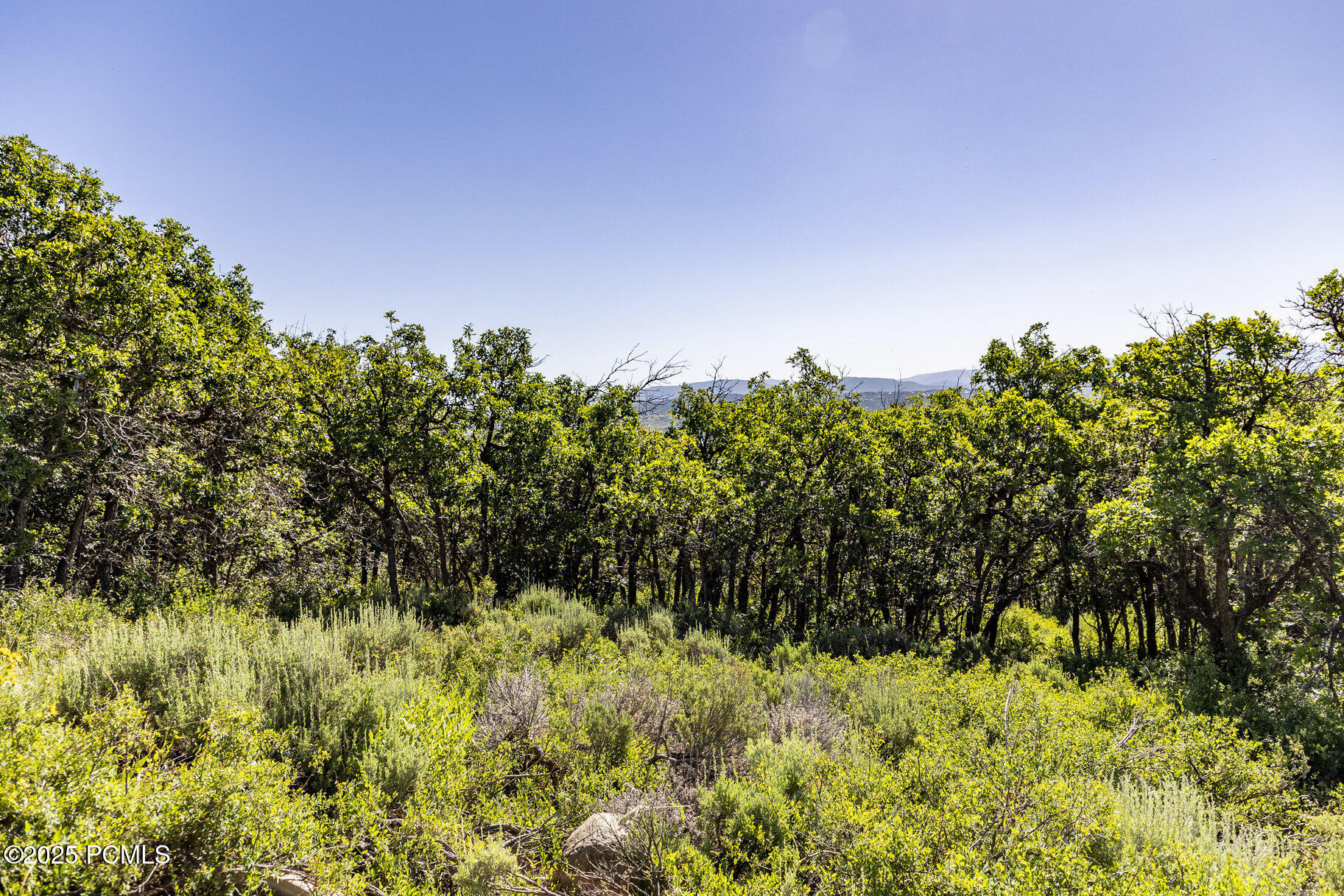 1625 W Red Hawk Trail, Park City, Utah image 39