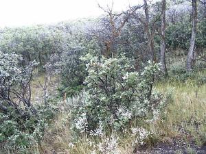 Park City, Utah 84098, United States, ,Land,Active,103772