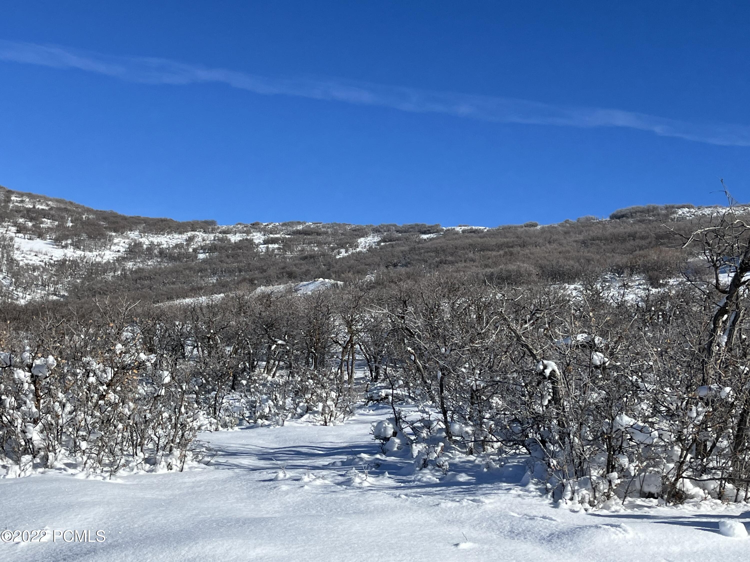 Park City, Utah 84098, United States, ,Land,Active,103772