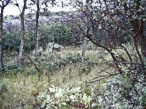 Park City, Utah 84098, United States, ,Land,Active,103772