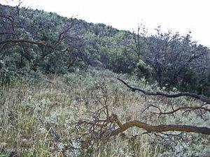 Park City, Utah 84098, United States, ,Land,Active,103772