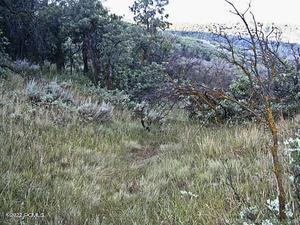 Park City, Utah 84098, United States, ,Land,Active,103772