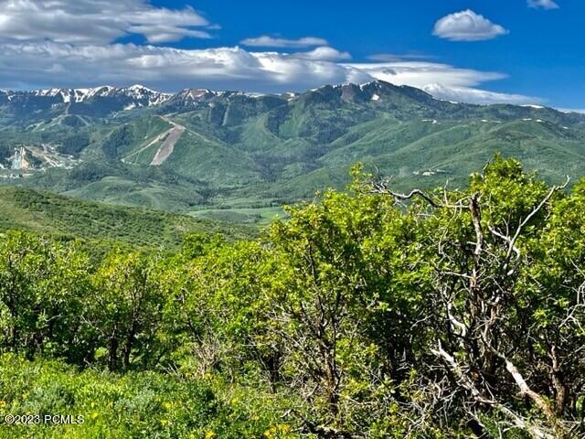 Park City, Utah 84098, United States, ,Land,Active,103772