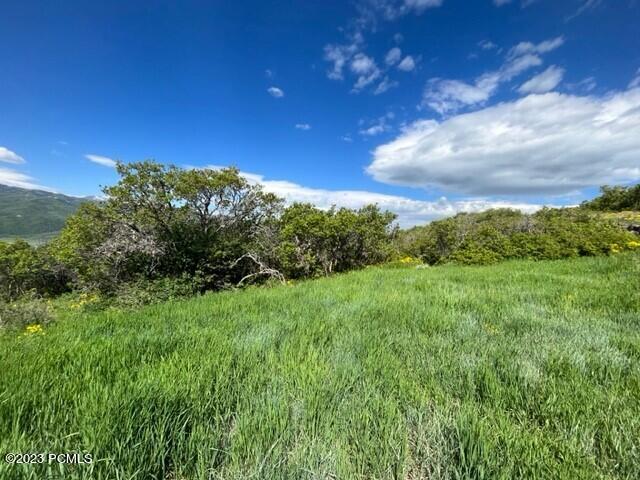 Park City, Utah 84098, United States, ,Land,Active,103772