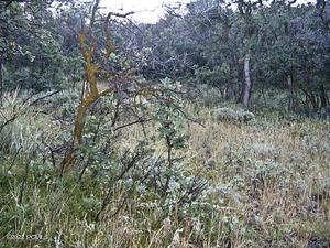 Park City, Utah 84098, United States, ,Land,Active,103772