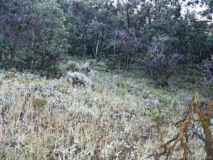 Park City, Utah 84098, United States, ,Land,Active,103772