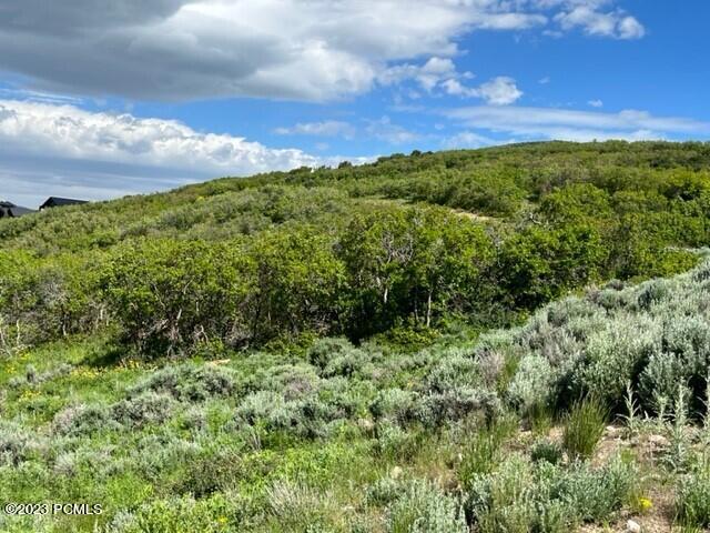 Park City, Utah 84098, United States, ,Land,Active,103772