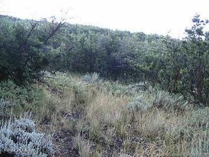 Park City, Utah 84098, United States, ,Land,Active,103772